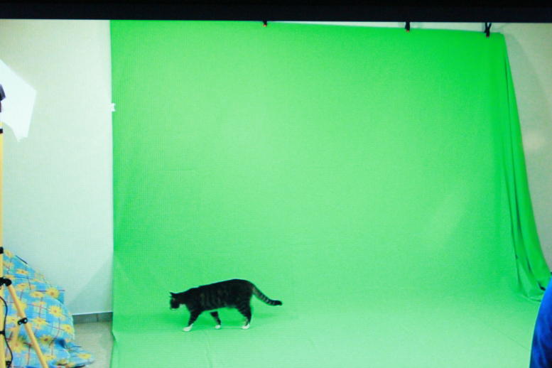 Greenscreen